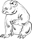 Koala Clipart