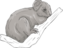 Koala Clipart