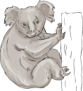 Koala Clipart