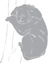 Koala Clipart