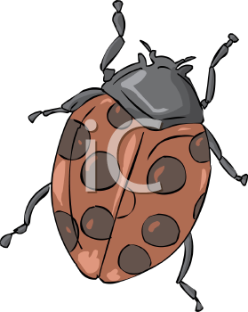 Ladybug Clipart