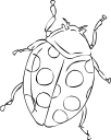 Ladybug Clipart