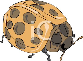 Ladybug Clipart