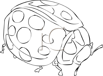 Ladybug Clipart