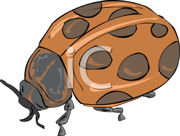 Ladybug Clipart