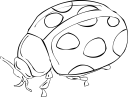 Ladybug Clipart