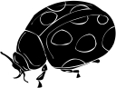 Ladybug Clipart