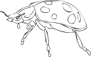 Ladybug Clipart