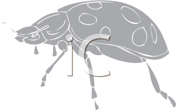 Ladybug Clipart