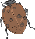 Ladybug Clipart