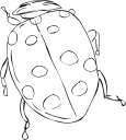 Ladybug Clipart