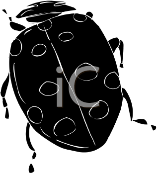 Ladybug Clipart