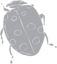 Ladybug Clipart