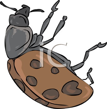 Ladybug Clipart