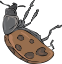 Ladybug Clipart