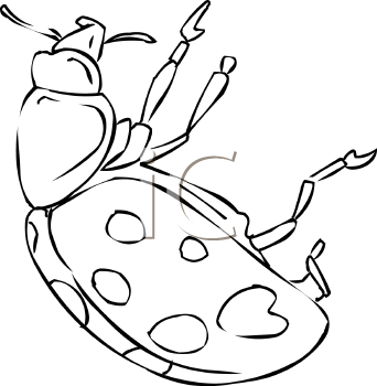 Ladybug Clipart