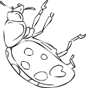 Ladybug Clipart