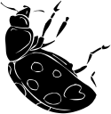 Ladybug Clipart