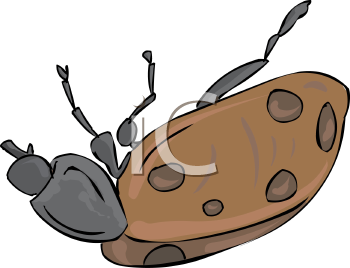 Ladybug Clipart