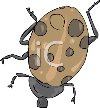 Ladybug Clipart