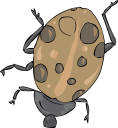 Ladybug Clipart