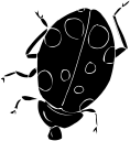 Ladybug Clipart