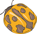 Ladybug Clipart