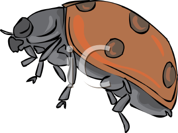 Ladybug Clipart