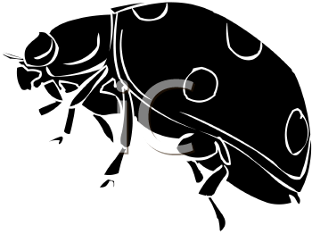 Ladybug Clipart