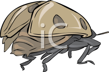 Ladybug Clipart