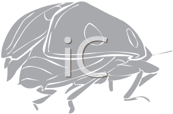 Ladybug Clipart