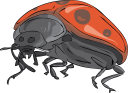 Ladybug Clipart