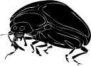 Ladybug Clipart