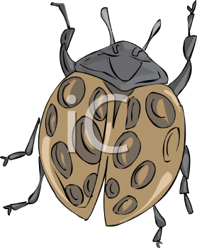 Ladybug Clipart