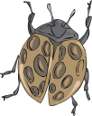 Ladybug Clipart