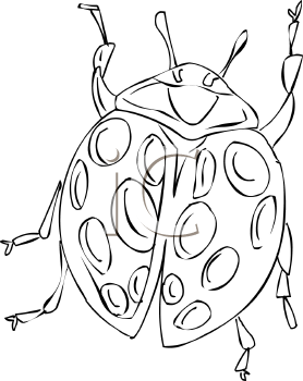 Ladybug Clipart