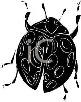 Ladybug Clipart