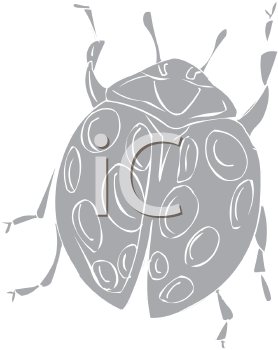 Ladybug Clipart