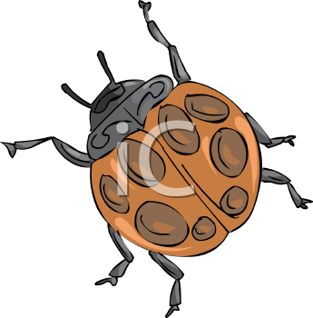 Ladybug Clipart