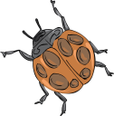 Ladybug Clipart