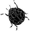 Ladybug Clipart