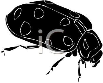 Ladybug Clipart