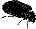 Ladybug Clipart