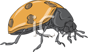 Ladybug Clipart