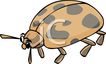 Ladybug Clipart