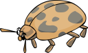 Ladybug Clipart