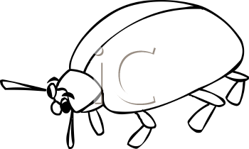 Ladybug Clipart