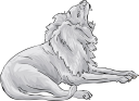 Lion Clipart