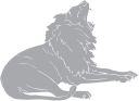 Lion Clipart