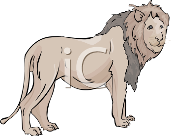 Lion Clipart